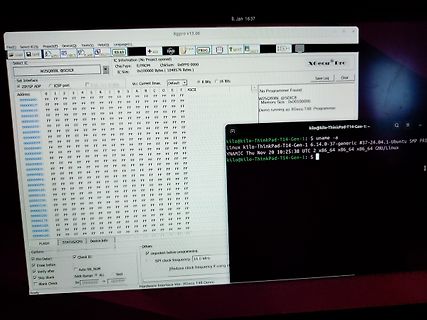 XGecu Pro Software mit Speicherinhalt und Terminal