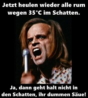Meme mit Jim Carrey über Hitze