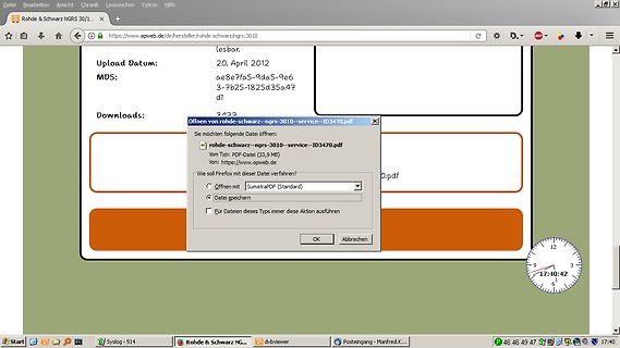 Screenshot einer Website mit Download-Option für PDF