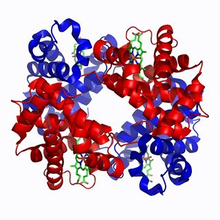 3D-Strukturmodell eines Proteins