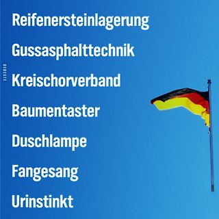 Meme mit deutschen Wörtern und Flagge