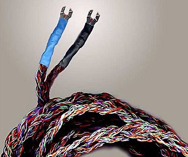 Mehradriges Kabel mit Steckkontakten