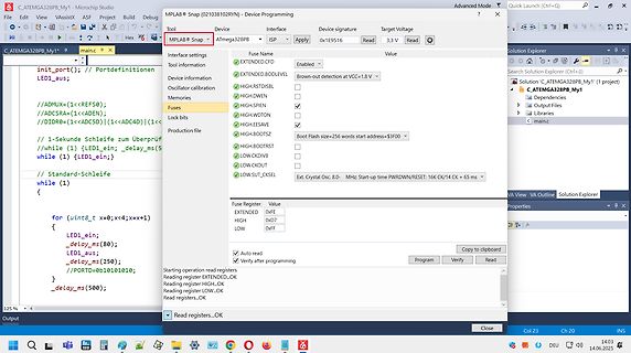 Software-Screenshot AVR Device Programming