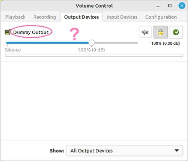 Screenshot der Audio-Ausgabeeinstellungen mit Dummy Output