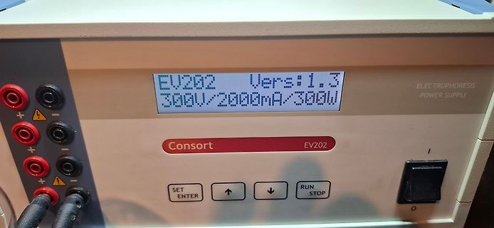 Elektrophorese-Netzteil mit Display