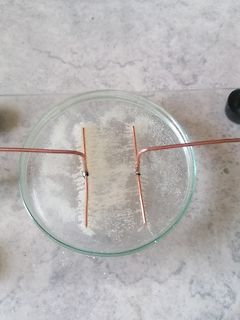Elektrolytischer Aufbau in einer Petrischale mit Kupferdrähten