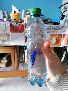 Plastikflasche mit blauem Fisch darin