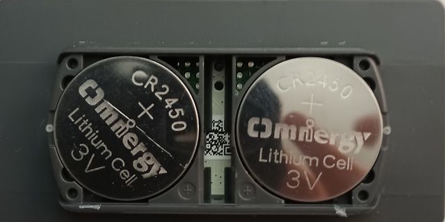 Zwei CR2450 Lithium-Knopfzellen in Batteriefach
