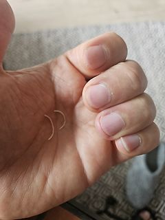 Zwei kleine Haare in einer Handfläche