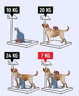 Rechenrätsel mit Katze, Maus und Hund