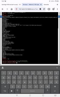 Screenshot eines Terminal-Fensters mit Linux-Systeminformationen