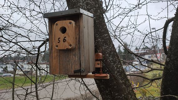 Holz-Vogelhaus an einem Baum