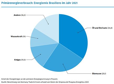 Kreisdiagramm des Primärenergieverbrauchs in Brasilien 2021