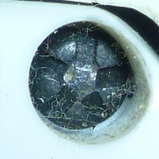 Torx-Schraube in Gehäuseöffnung