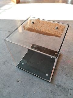 Acrylbox mit Schwamm auf Untergrund