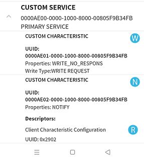 Screenshot einer Bluetooth Low Energy Service Struktur