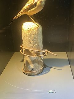 Präparierter Vogel auf einem Holzpfosten
