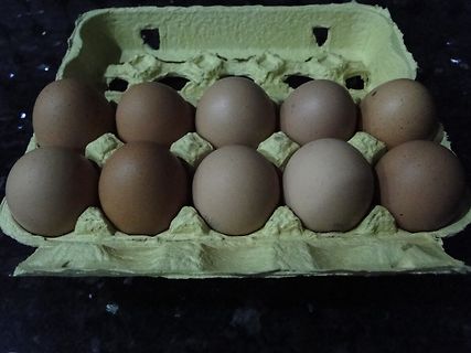 Eier in einem Pappkarton