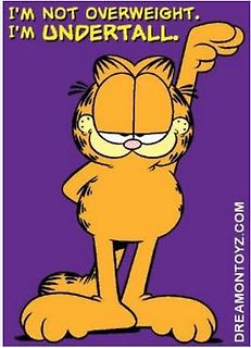 Garfield Meme