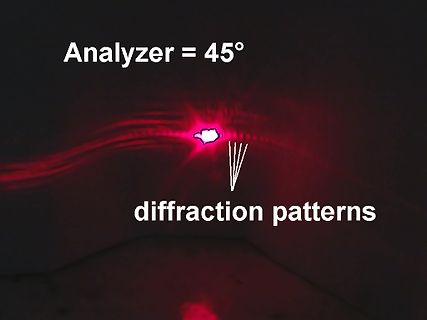 Optisches Beugungsmuster mit Analysator-Angabe