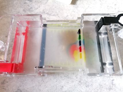 Durchlaufchromatographie-Kammer aus Kunststoff