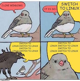 Vogel-Meme über den Wechsel von Windows zu Linux