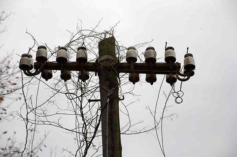 Alter Telefonmast mit Isolatoren und Ranken