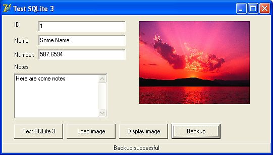 Screenshot einer Test-Software mit Datenbankfeldern und Sonnenuntergangsbild