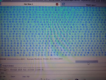 Screenshot einer Softwareoberfläche mit Textfehlern