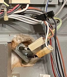 Verdrahtung und Steckverbindungen in einem Gehäuse