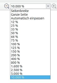 Zoom-Menü einer Software