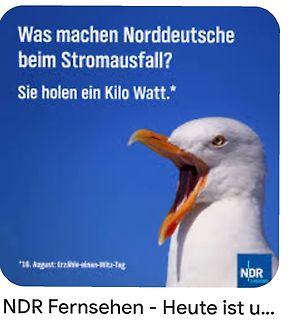Meme mit Möwe und Text