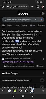Screenshot eines Google-Suchergebnisses zu Palmöl