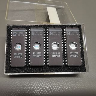 Vier EPROMs in einer Kunststoffbox