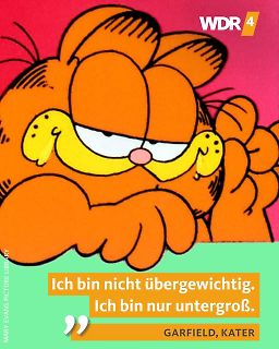 Garfield Meme