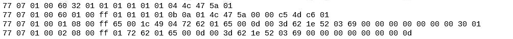 Hexadezimale Datenzeilen