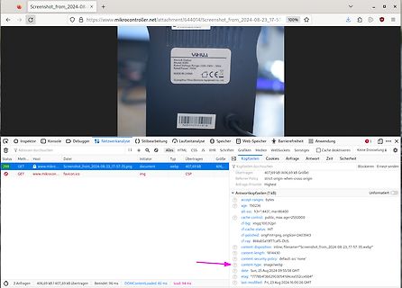 Screenshot eines Webbrowser-Fensters mit Netzwerkanalyse