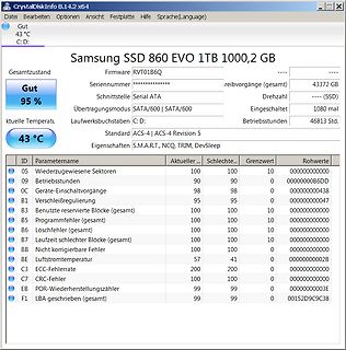 CrystalDiskInfo S.M.A.R.T. Werte einer Samsung SSD
