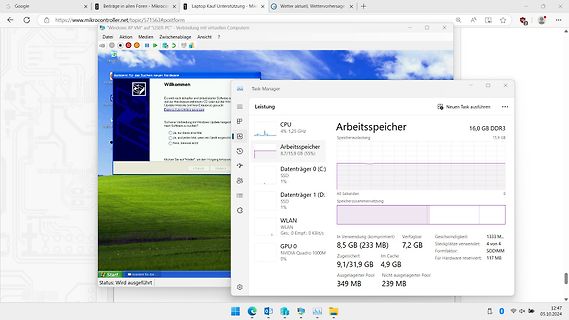 Screenshot des Windows Task-Managers und eines Browserfensters