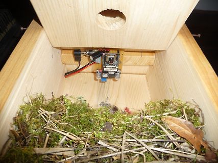 Elektronikmodul in Holzkiste mit Moos und Zweigen