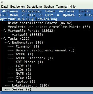 Terminal-Ausgabe von aptitude Paketverwaltung