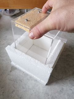 Hand hält Acrylbox auf Styroporblock