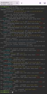 Terminal-Ausgabe des ip addr Befehls unter Debian
