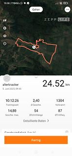 Screenshot einer Fitness-App mit Laufdaten