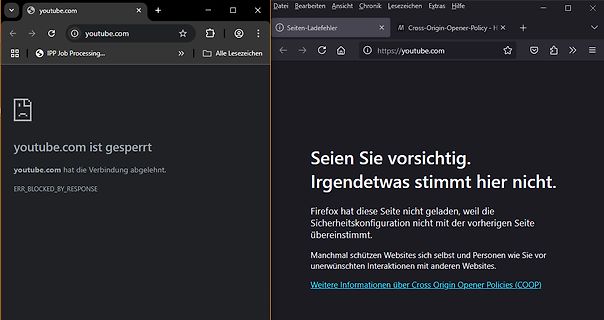 Fehlermeldung im Webbrowser
