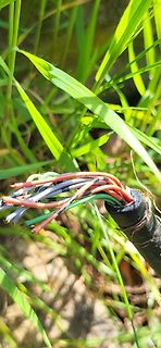 Abgeschnittene Kabel mit farbigen Adern