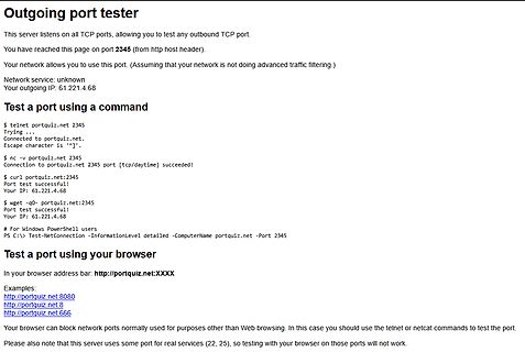 Webseite eines Outgoing Port Testers