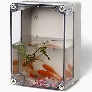 Miniatur-Aquarium in einem Kunststoffgehäuse