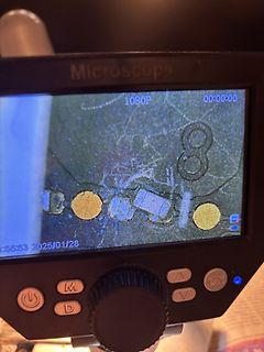 Foto eines Mikroskop-Displays
