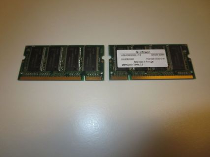 Zwei RAM-Module von Infineon